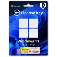 Windows 10-11 pro key